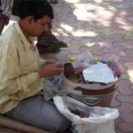 Indian Peanut Seller