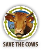 Save the Cow!