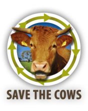 Save the Cow!