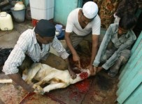 Mutton for the 'compassionate' Dalai Lama!