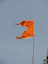 Hindu flag