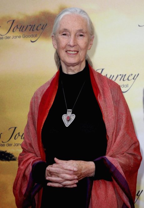 Jane Goodall