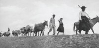 Arunachal Pradesh locals fleeing the Chinese in 1962