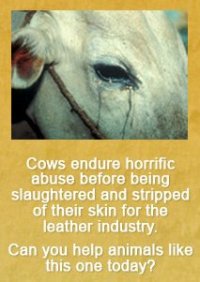 Indian leather industry is one of the largest in the  world.