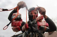 Defused bomb from the Indian consulate attack in Jalalabad