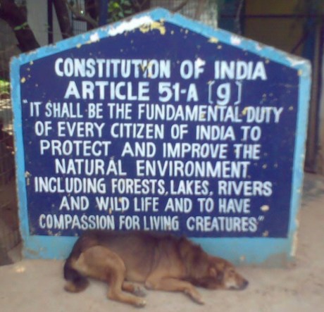 Article 51-A (g) of the Indian Constitution.