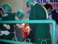 Surgery on the cow's rumen reveals kilos of plastic!