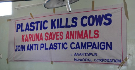 Plastic kills cows!