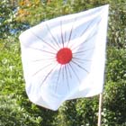 Flag of the Donyi-Polo religion