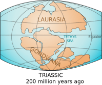 Laurasia & Gondwana Continents
