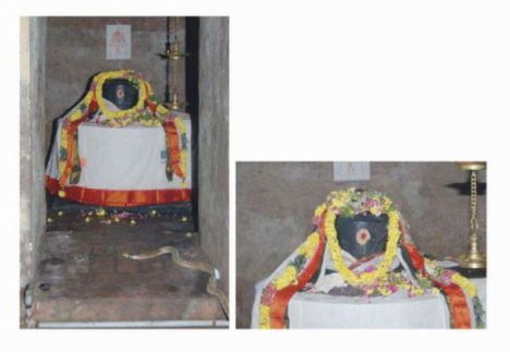 The cobra then went around the vigraha and climbed up the left side of the image, spread its hood and placed the bilva leaf on top of the lingam. It repeated this a number of times, climbing the bilva tree in the garden and bringing a leaf in its mouth back to the vigraha and placing it on top of the Shiva lingam. When a crowd gathered, the snake hissed at those devotees who got too close to it. Cobra offering bilva leaves to linga - 2