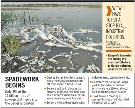 Dead fish in the Ganga