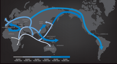 Human Migration Out of Africa