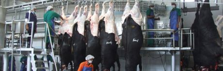 Buffalo slaughter in New Delhi