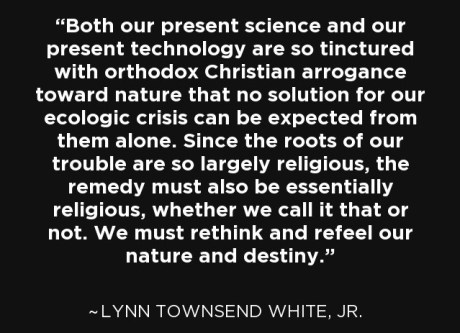 Lynn Townsend White Jr Quote