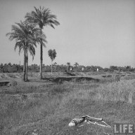 Churchill's Bengal famine of 1943