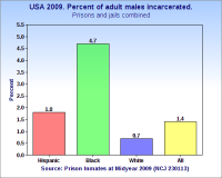 Percent of adult males incarcerated by race and ethnicity (2009).