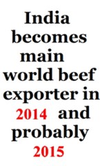 Beef Export