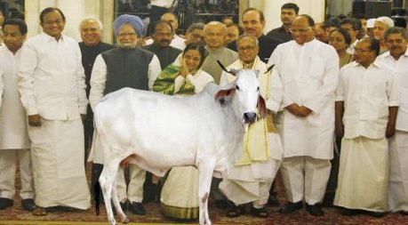 Congress & Cow