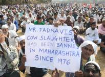 Cow Slaughter Ban
