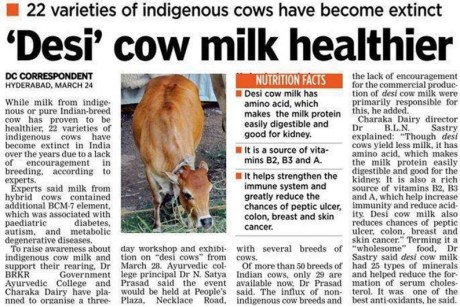 Desi Cow Milk