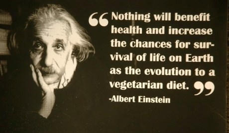 Albert Einstein Quote