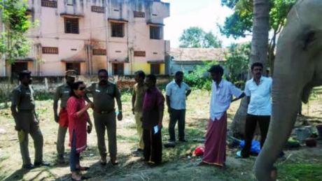 Elephant Ammu with KSPCA staff, police and mahout Elephant Ammu with KSPCA staff, police and the mahout