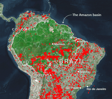 Amazon Fires Map