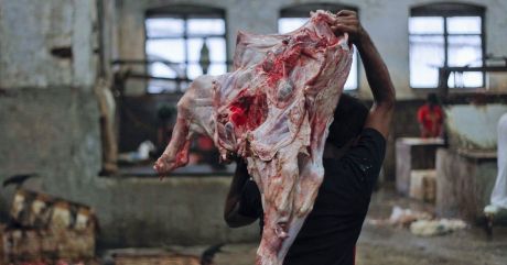 Delhi Slaughter House