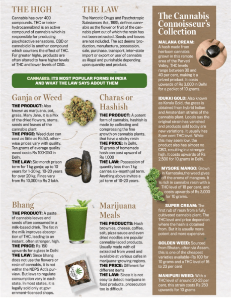 Cannabis in India