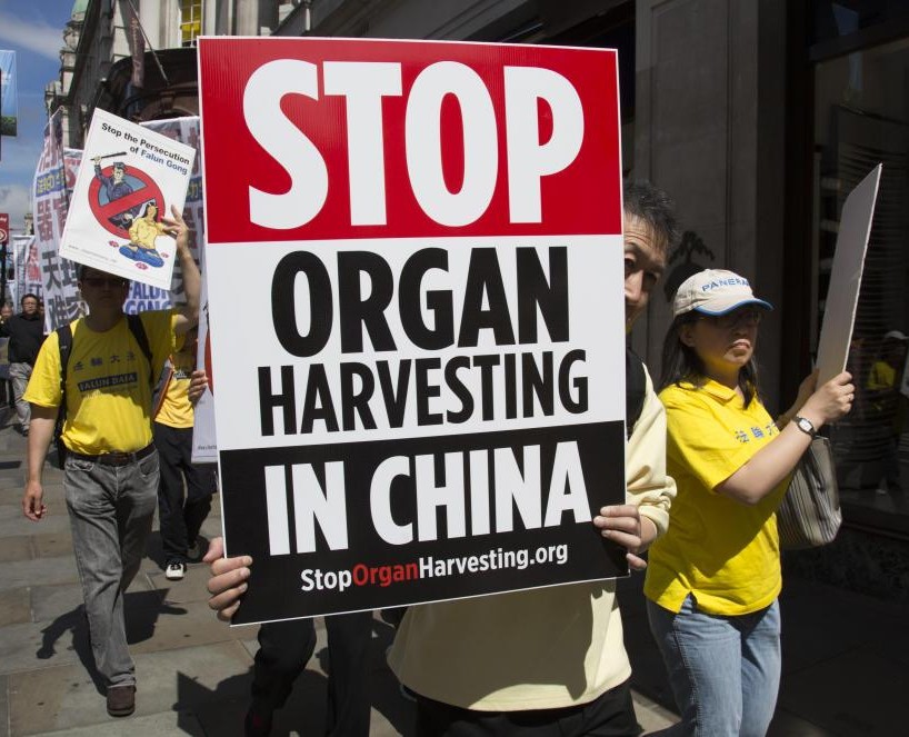 organ-harvest-china