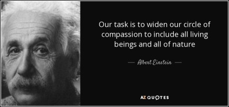 Albert Einstein Quote