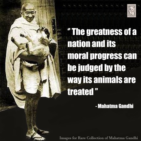 Gandhi Quote