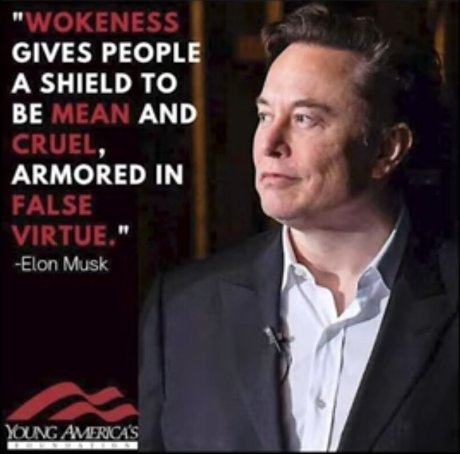Elon Musk Quote