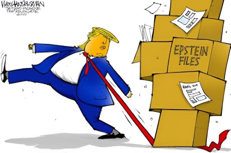 Donald Trump Cartoon